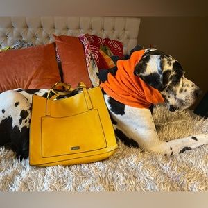 Carlos Santana tote bag/large purse